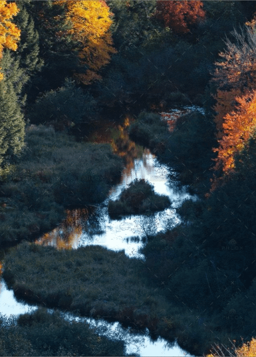 demo-attachment-676-claudiu-pusuc-p-4