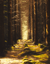 demo-attachment-243-claudiu-pusuc-p2Pu_9YST8A-unsplash