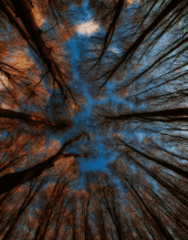 demo-attachment-213-gramantik-peter-dAQSXxDPpPI-unsplash