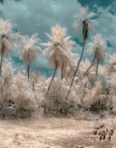 demo-attachment-237-v-srinivasan-gVWE1OBE_Z0-unsplash